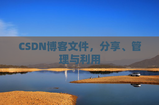 CSDN博客文件，分享、管理与利用